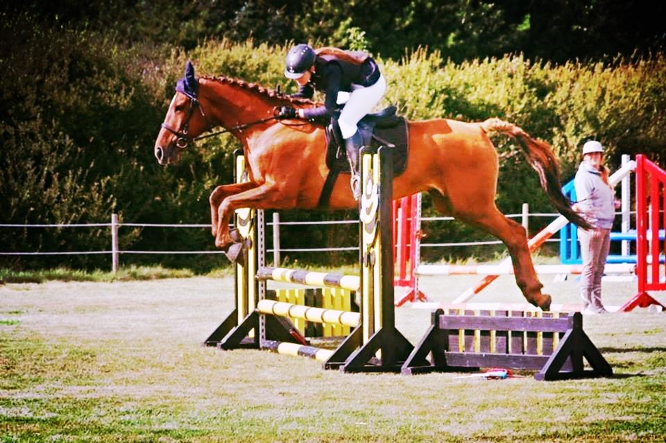 Anden særlig race Møllegårdens Pallas Athene billede 6