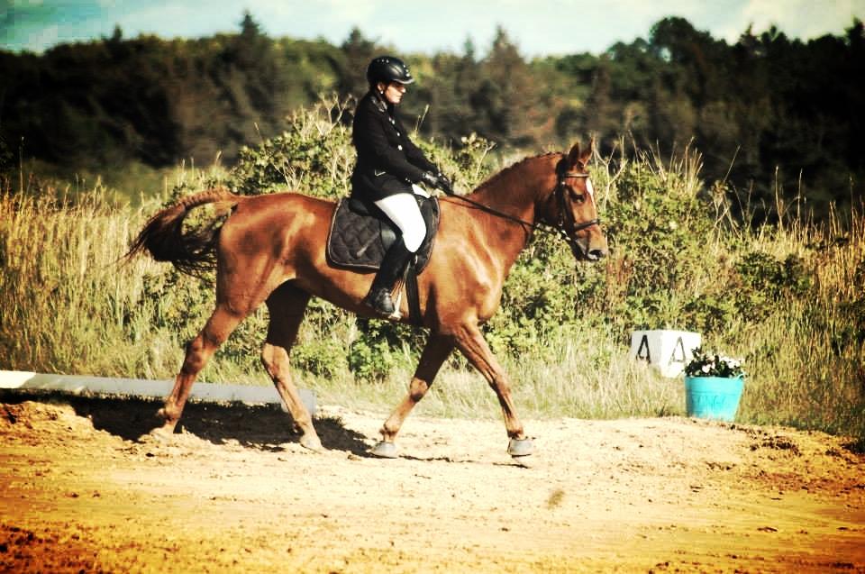 Anden særlig race Møllegårdens Pallas Athene billede 8