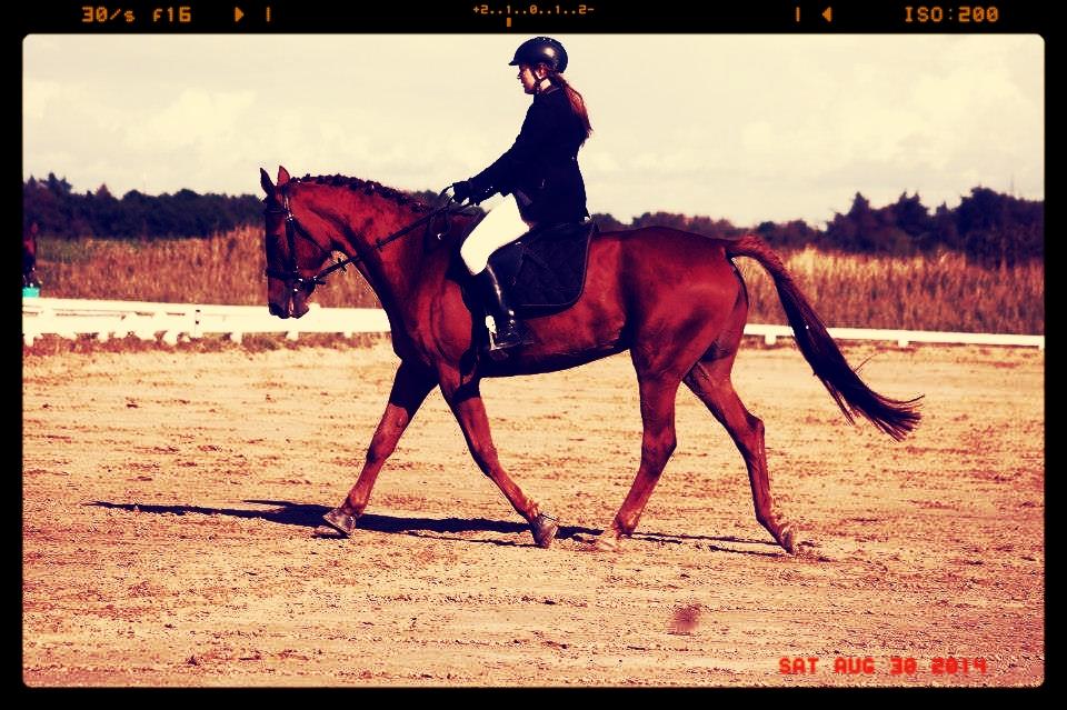 Anden særlig race Møllegårdens Pallas Athene billede 9