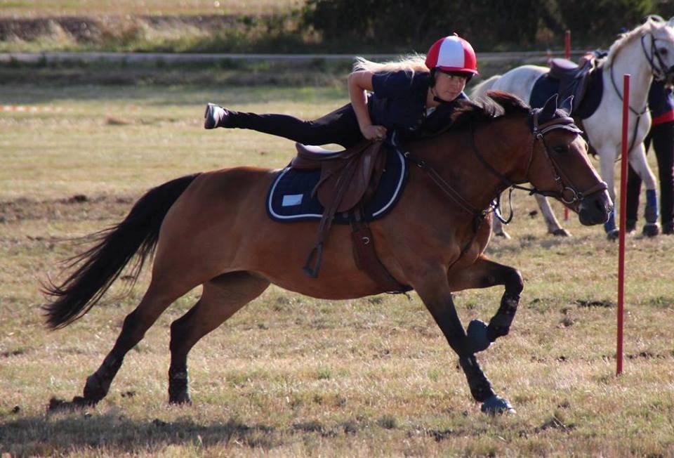 Hollandsk Sportspony Jasmijn billede 6