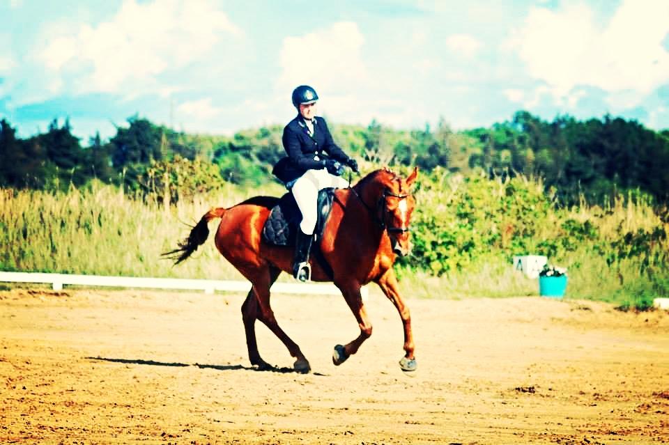 Anden særlig race Møllegårdens Pallas Athene billede 13