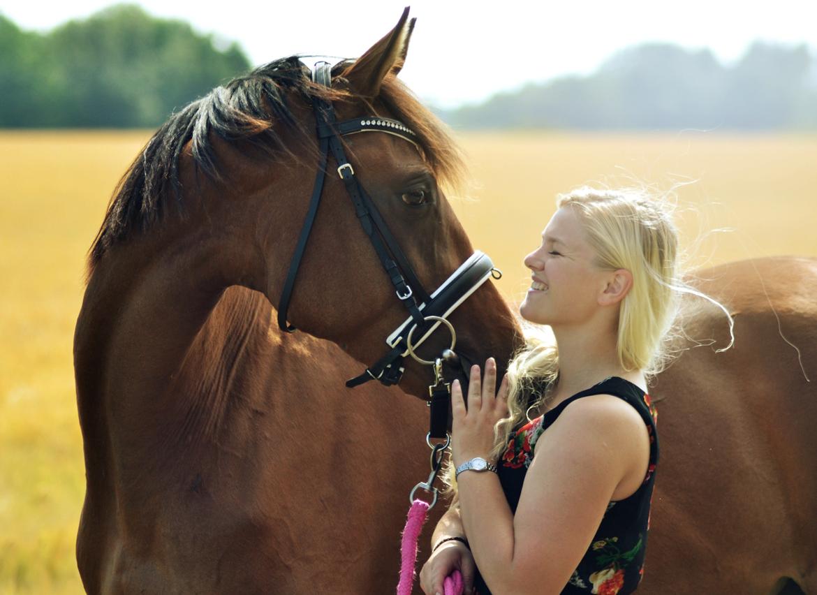 Dansk Varmblod Fiona By West - @HaugePhoto billede 12