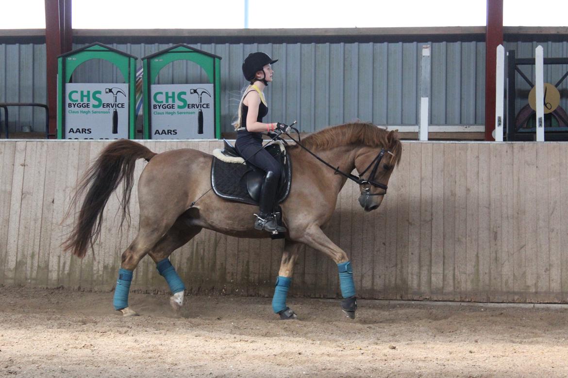 DSP Tovdal's Balooca - Opvarmning billede 5