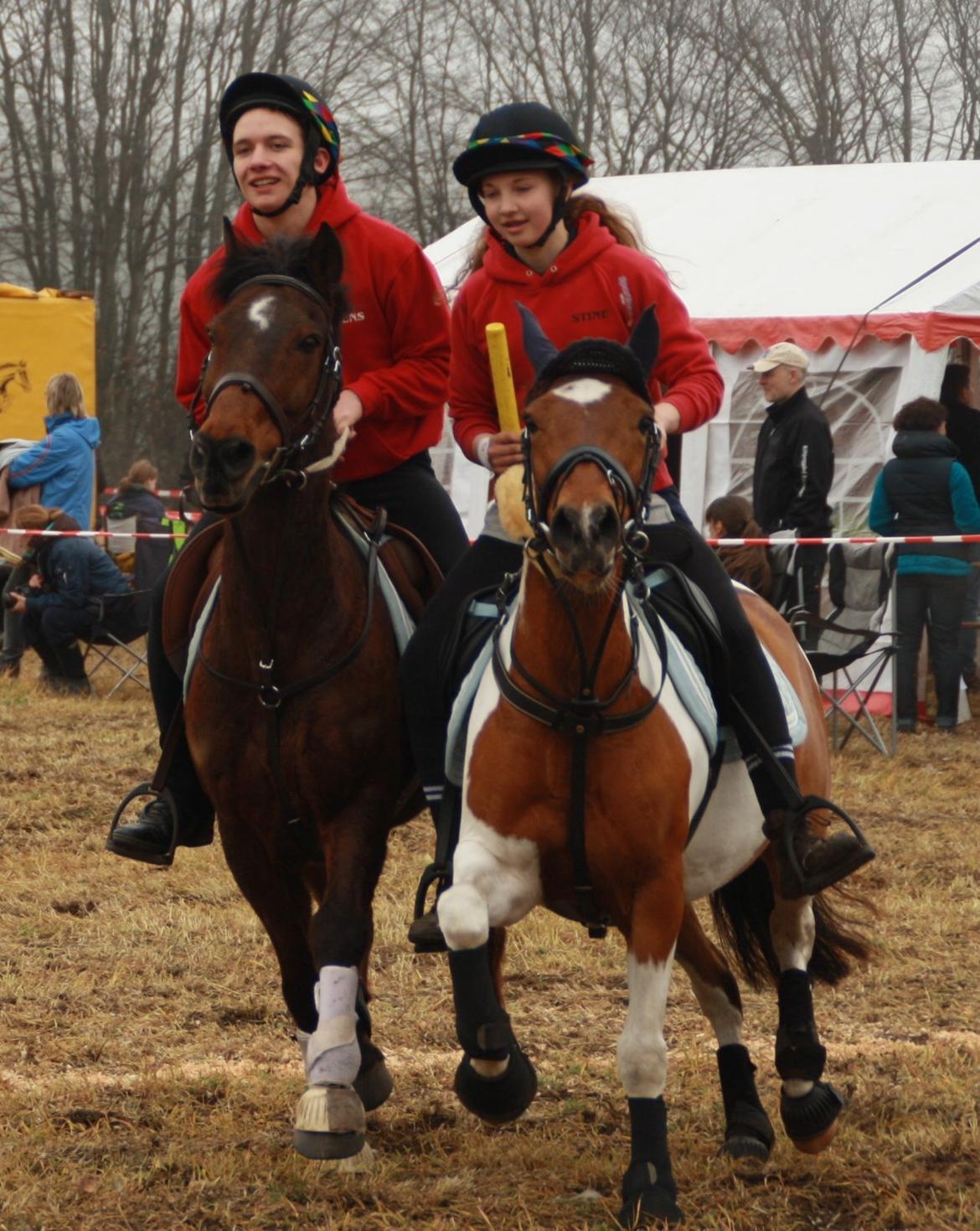 Anden særlig race Mille billede 29