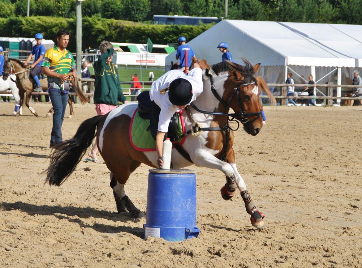 Anden særlig race Mille billede 22