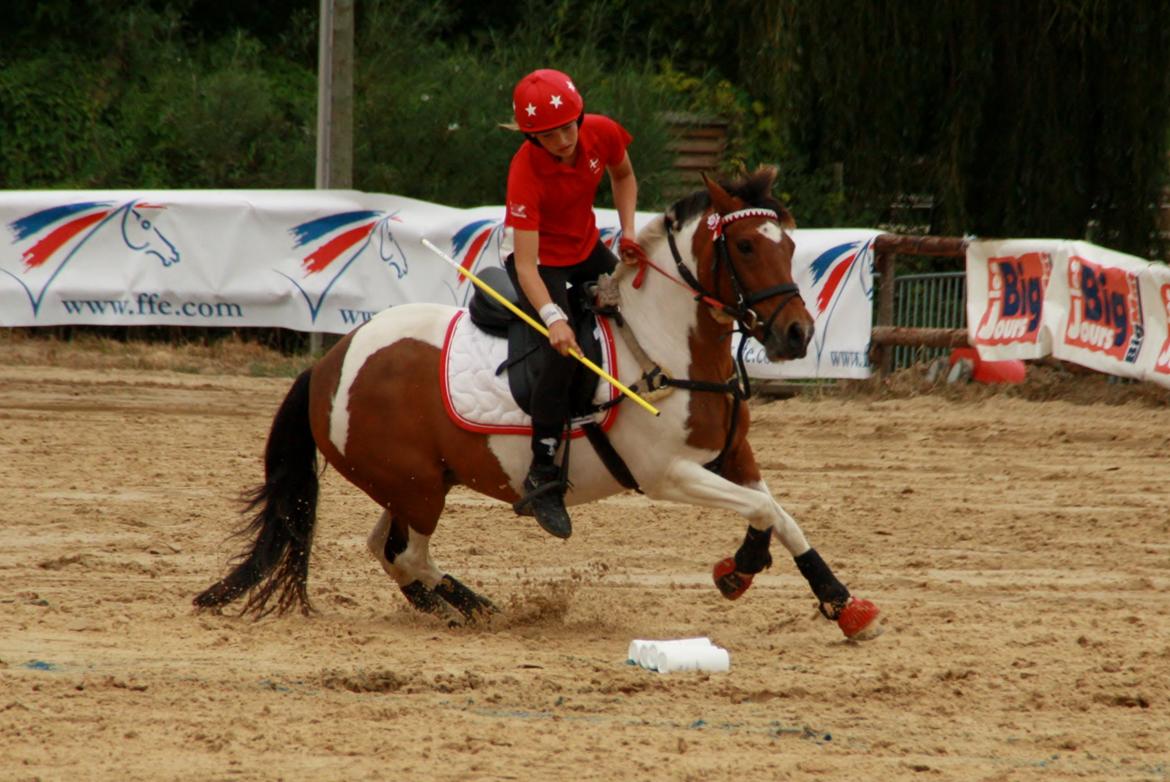 Anden særlig race Mille billede 25