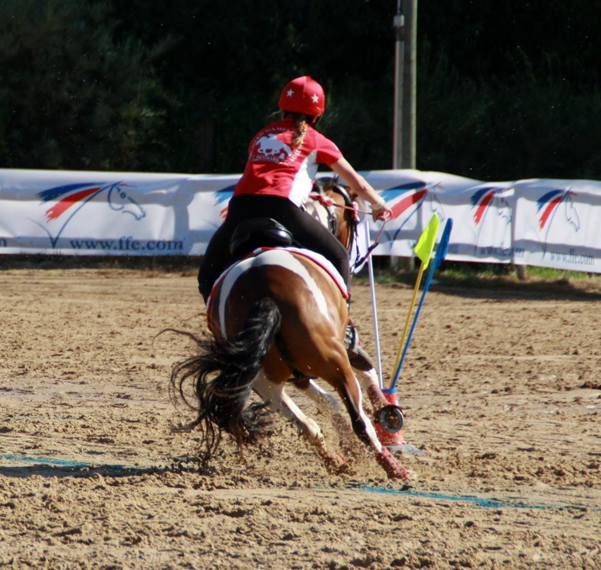 Anden særlig race Mille billede 31