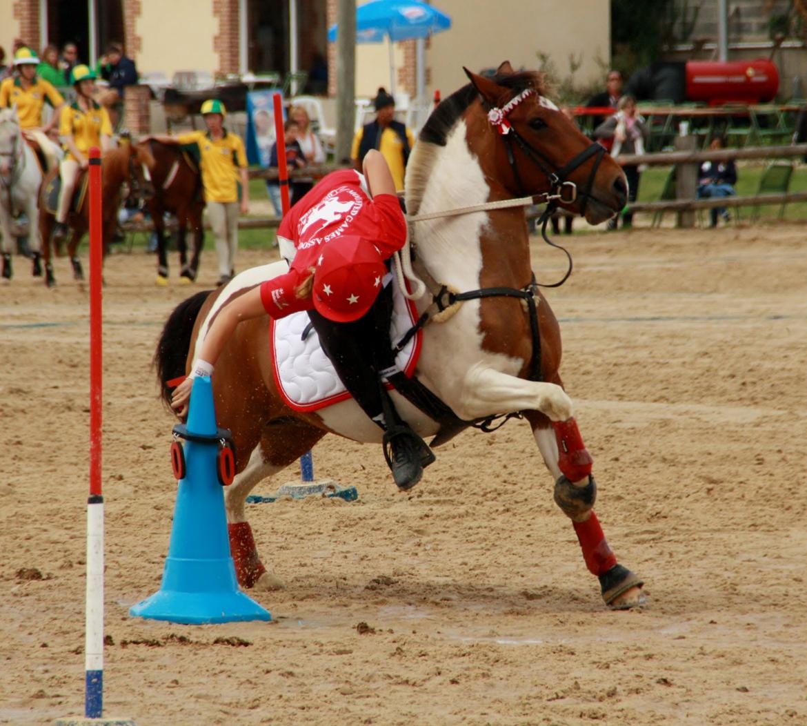 Anden særlig race Mille billede 2