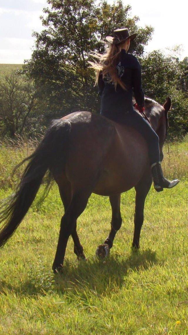 Dansk Varmblod Sabine Esperanza billede 13