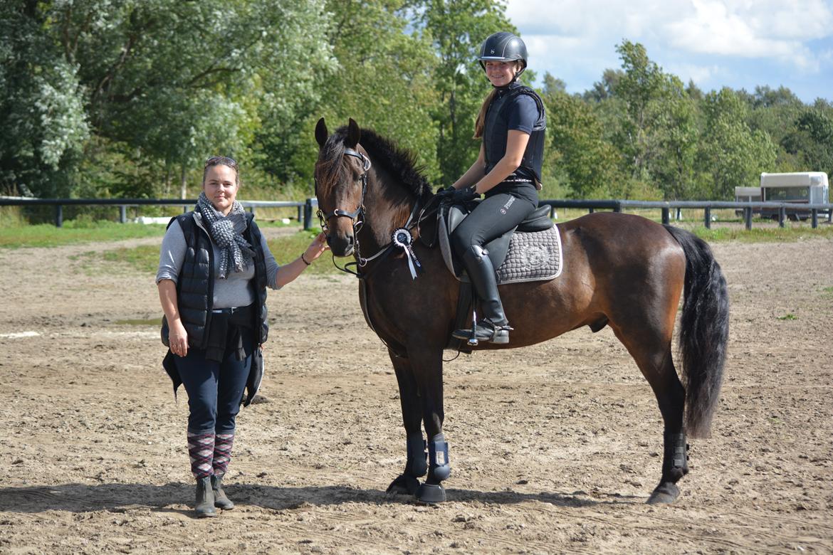 DSP Gedsagergårds Roberto - Min højt elskede Pony & mor, som også er min daglige træner. Uden min mor kunne dette aldrig lade sig gøre <3  1 stop på vandgraven, hvilket førte til en stil karakter på 7,85 point. Vi havde fået over 8 hvis han ikke stoppede. billede 8