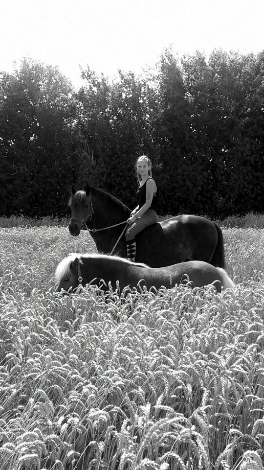 Anden særlig race  | Ponyo Chusteau billede 4