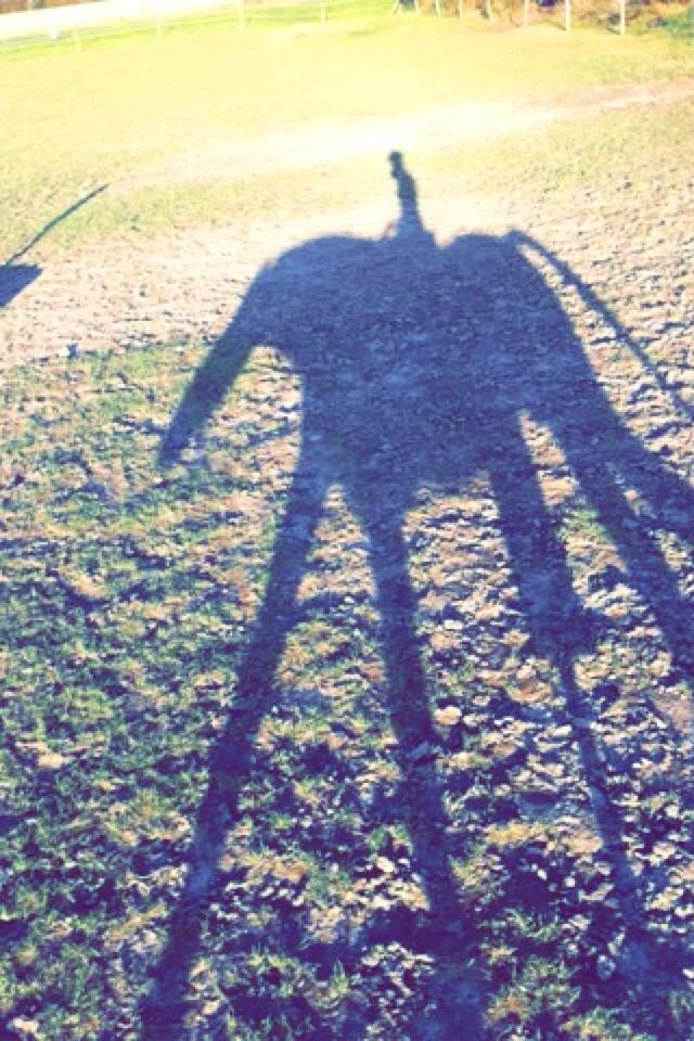 Anden særlig race  | Ponyo Chusteau billede 7