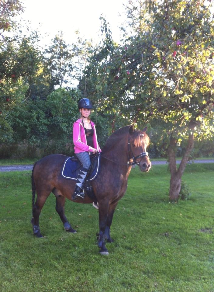 Anden særlig race  | Ponyo Chusteau billede 9