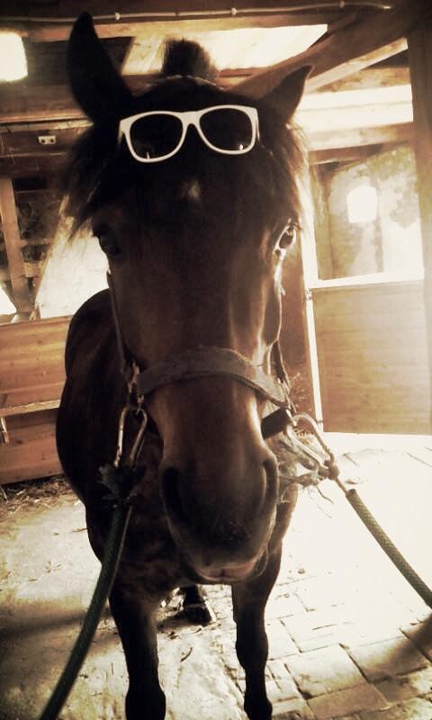 Anden særlig race  | Ponyo Chusteau billede 14