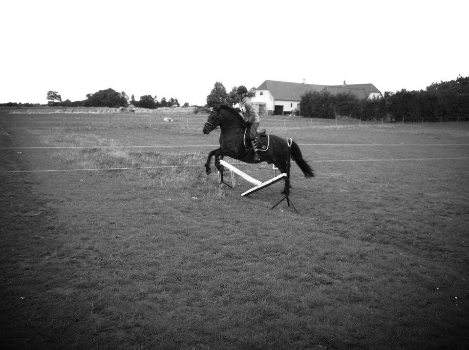 Anden særlig race  | Ponyo Chusteau - Spring en sen sommer aften. billede 5