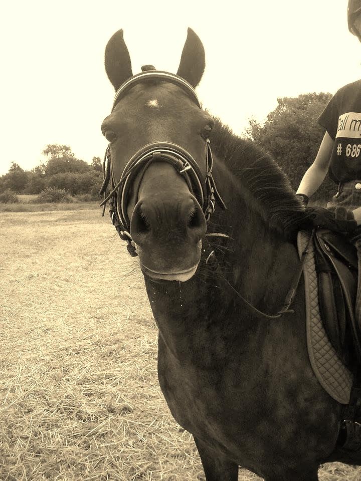 Anden særlig race  | Ponyo Chusteau billede 2