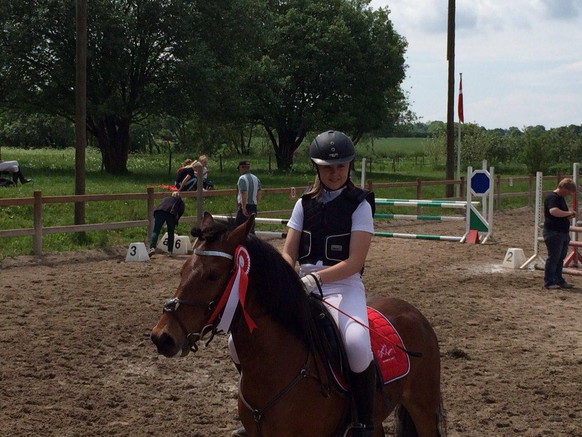 Anden særlig race Romze billede 29