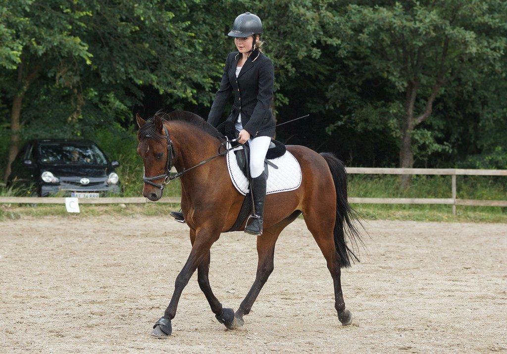 Anden særlig race Klosterskovens Lukas billede 9