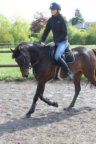 DSP Schrøter's La Couer billede 18