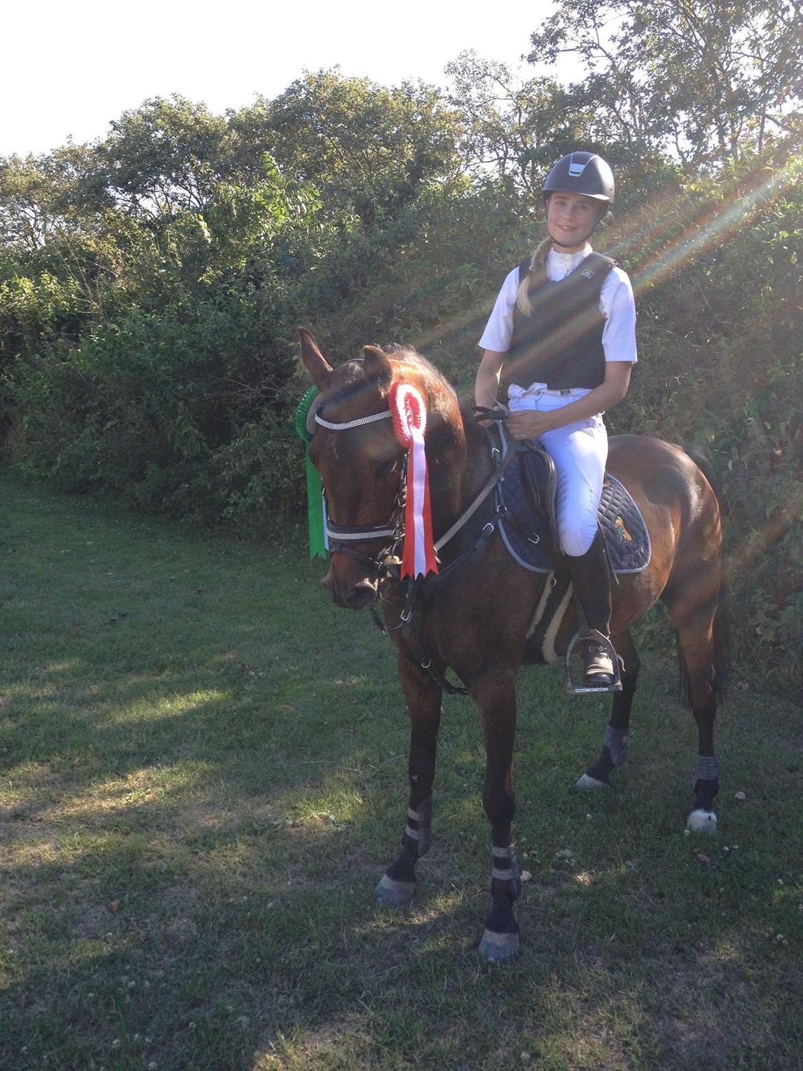 DSP Schrøter's La Couer billede 21