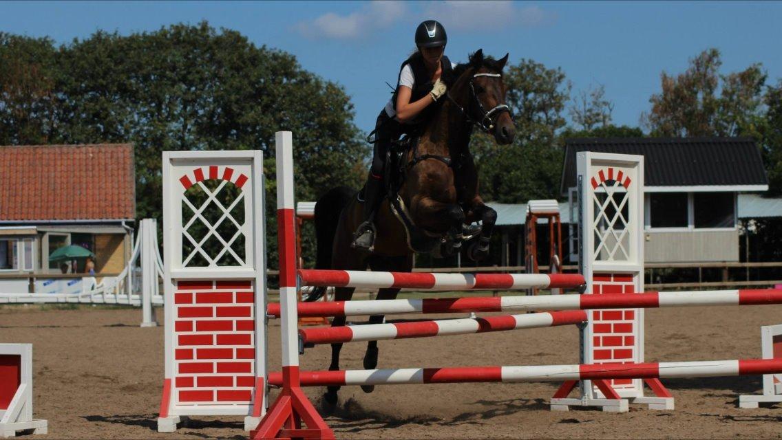 DSP Schrøter's La Couer billede 22