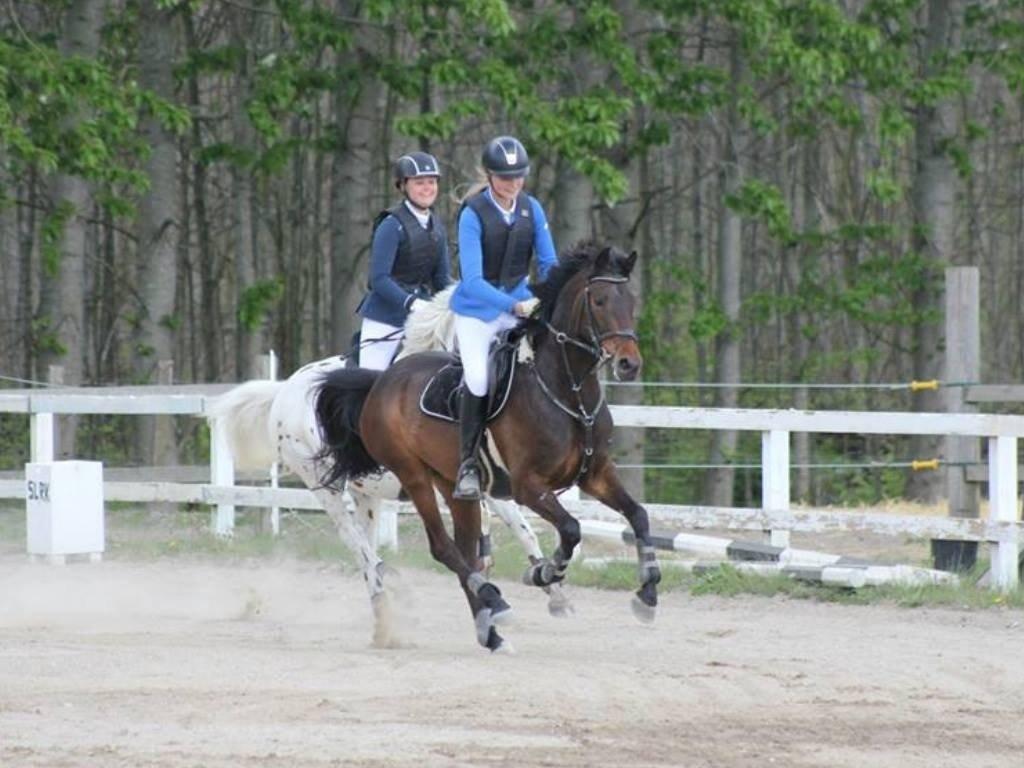 DSP Schrøter's La Couer billede 23