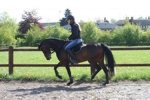 DSP Schrøter's La Couer billede 24