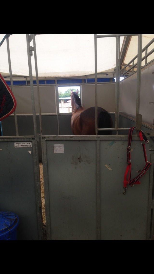 DSP Schrøter's La Couer billede 25