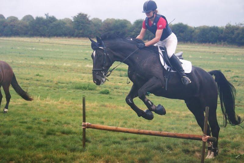 Oldenborg Opal Hjortelund billede 26