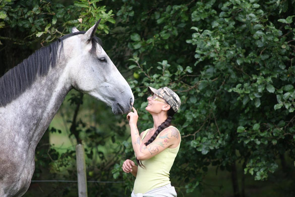 Dansk Varmblod Lotus Esprit W *SOLGT* billede 18