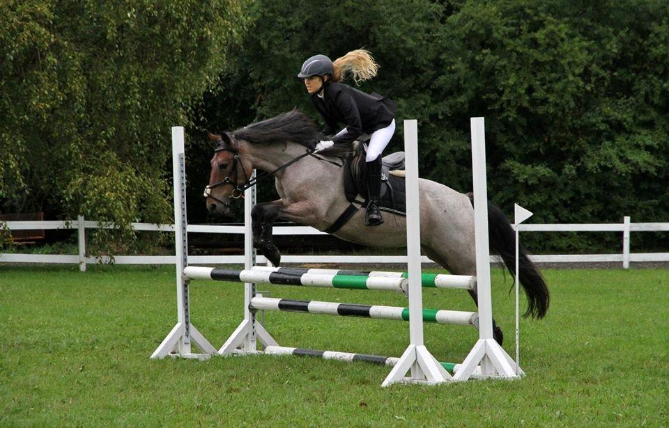 Anden særlig race Manou  *Klubmester spring 2012* - Første LE hest. verdens bedste pony hest<3 billede 17