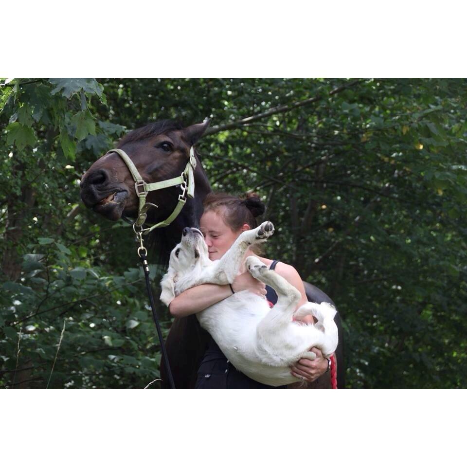 Anden særlig race Krumme *part* billede 5