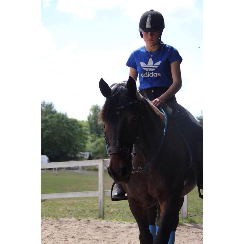 Anden særlig race Krumme *part* billede 2