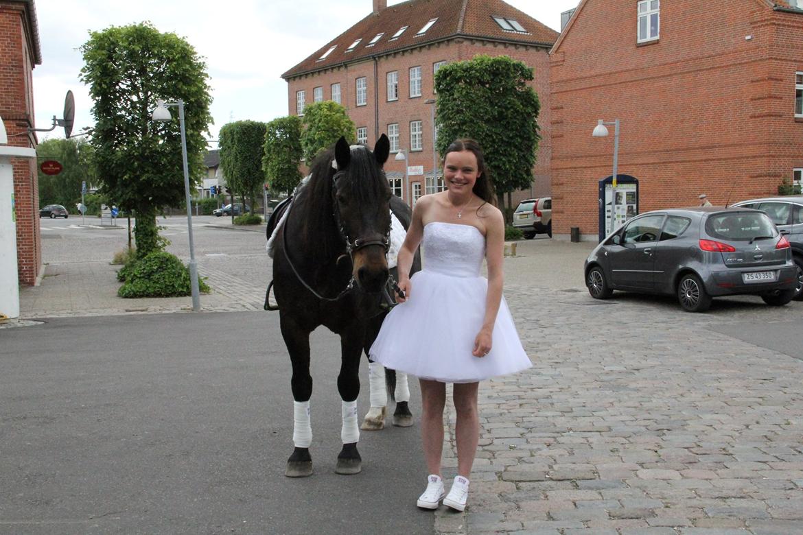 Anden særlig race Krumme *part* billede 1