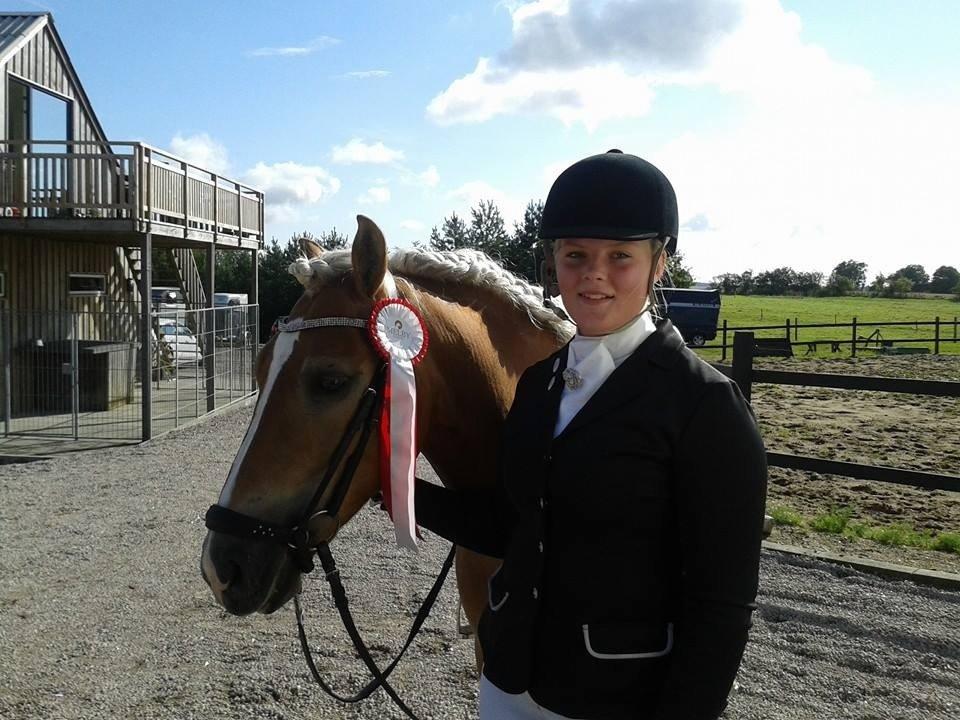 Haflinger Blue Star <3 - Vinder af LB1 hos Melby horses' stævne 2014<3 billede 3