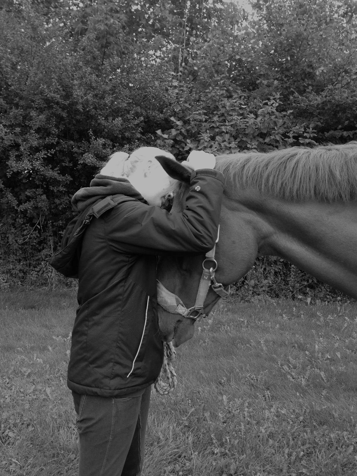 Fuldblod (XX) Macho Dancer (Ire) - Sov godt min skat <3  billede 20