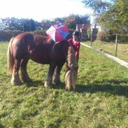 Jyde Salut kaldetThor