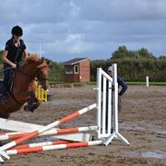 Anden særlig race Speedy