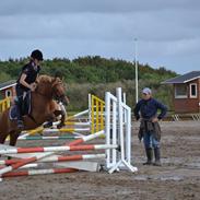 Anden særlig race Speedy