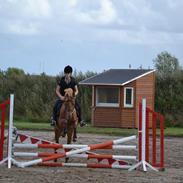 Anden særlig race Speedy