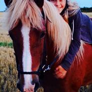 Islænder Proti fra Eyfjord