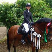 New Forest Joly's Wondergirl