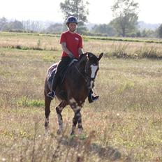 Anden særlig race Atletica