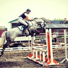 Anden særlig race Bech's Padraigh aka. Paddy :-)