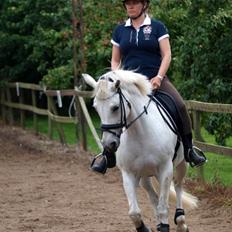 Connemara Barholts Blue Cocktail