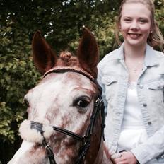 Anden særlig race Jolly Jumper