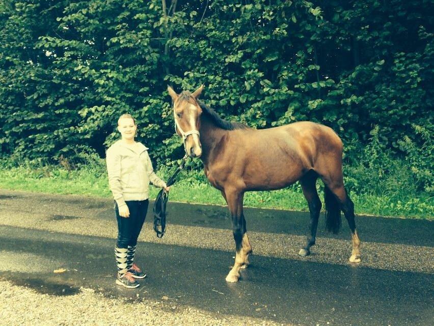 Anden særlig race Lucky af Tøgesensminde. billede 6