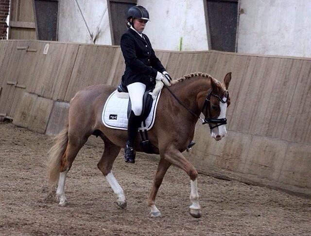 DSP Zita A. M - LA1 til Distriktsstævne i STR.  billede 11