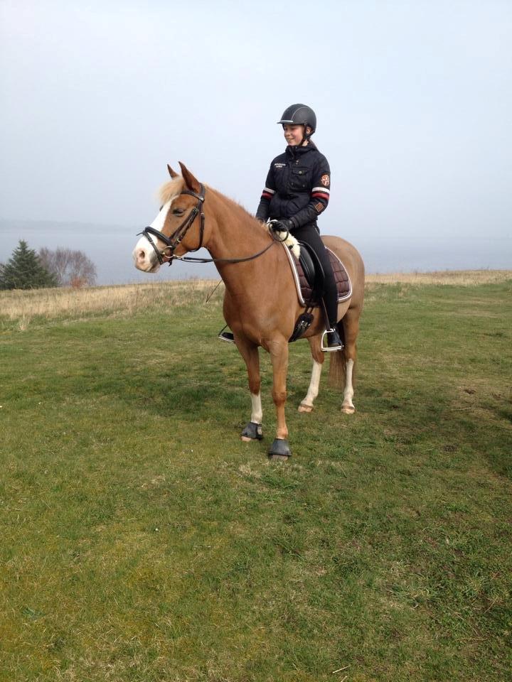 DSP Zita A. M - Hyggelig tur ved Kilen...  <3 billede 14