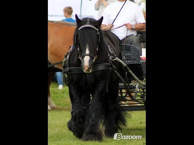 Jyde Jeppe (avl) billede 1